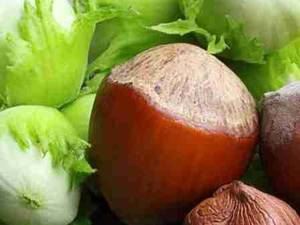 فندق درجه یک ارگانیک