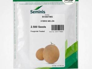 بذر خربزه ۳۶۴۱ سیمینیس ملون هیبرید SV3641MG