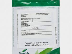 بذر خربزه ۳۶۴۱ سیمینیس ملون هیبرید SV3641MG