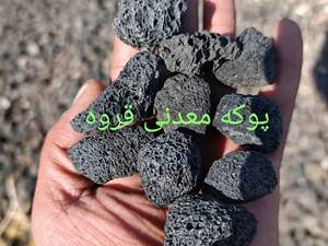 پوکه معدنی سیاه دانه‌ درشت