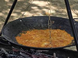 اردوی اکو پارک فرحزاد