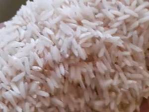 خرید برنج طارم هاشمی با قیمت روز