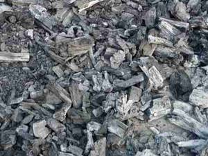 زغال بلوط کبابی