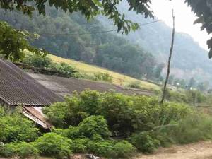 نمایی از کارخانه تولید ذغال نادر