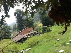 کوره ذغال سازی نادر