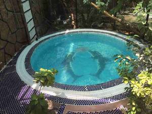 تعمیر و نگهداری موتورخانه در جنوب