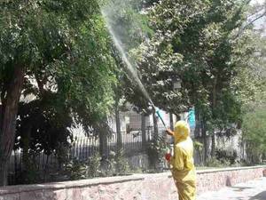 اجرا سمپاشی گیاهان و باغ تهران