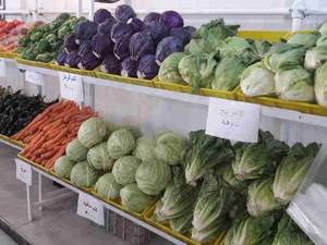 خرید انواع میوه تازه و درجه یک در بابل