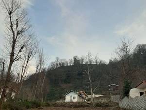 فروش زمین مسکونی لیالستان