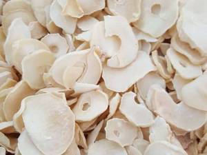 عطاری محمد در دزفول