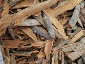 عطاری محمد در دزفول