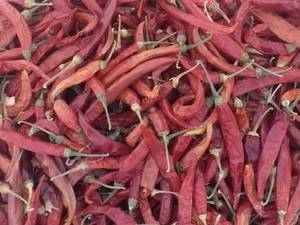 عطاری محمد در دزفول