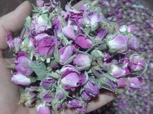 عطاری محمد در دزفول