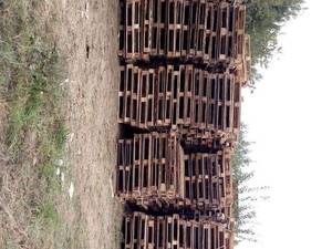 چوب بری و پالت سازی نظری در آمل