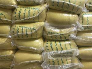 برنج ایرانی از مزارع دابو دشت