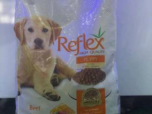 هایلی پت شاپ رودسر