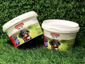 هایلی پت شاپ رودسر