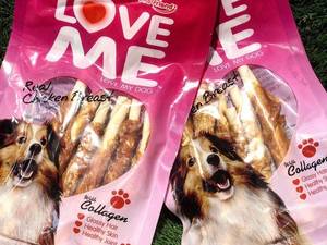 هایلی پت شاپ رودسر