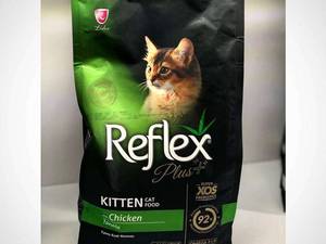 هایلی پت شاپ رودسر