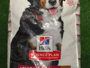 هایلی پت شاپ رودسر