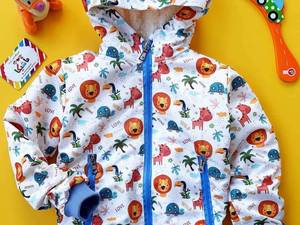 سویشرت داخل خز دار در رشت