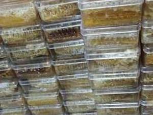 خرید موم زنبور عسل برای شمع‌سازی