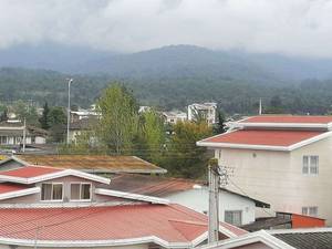 فروش ویلا تریبلکس جنگلی