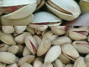 پخش عمده  آجیل و خشکبار در قزوین
