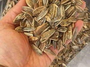 فروش  آجیل و خشکبار مرغوب در قزوین