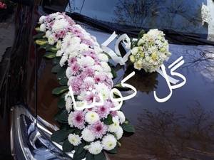 گل کاری ماشین-گل کوشا