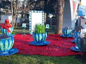 خرید انواع هفت سین با زیر گلدانی  در کرج