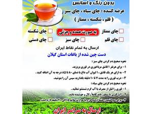 چای صددرصد طبیعی کاشف