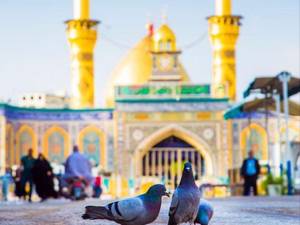 تور ریلی مشهد سه روزه