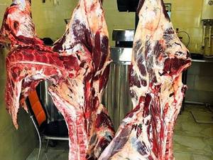 دهکده پروتئین سعید