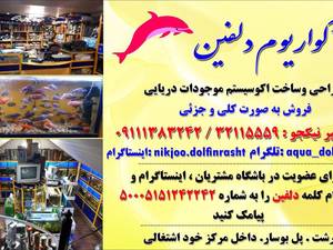 فروش غذا حیوانات خانگی سگ گربه در رشت پل بوسار