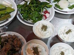 لذیز ترین غذا ها در رستوران ققنوس